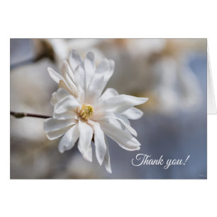 Cartões de agradecimentos de Star Magnolia Bloom