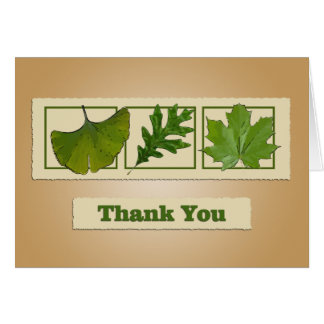Cartões de agradecimentos de Três Folhas