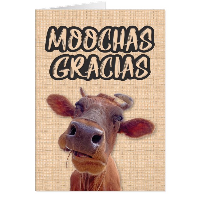 cartões de agradecimentos de Vaca "Moochas Gracias (Frente)