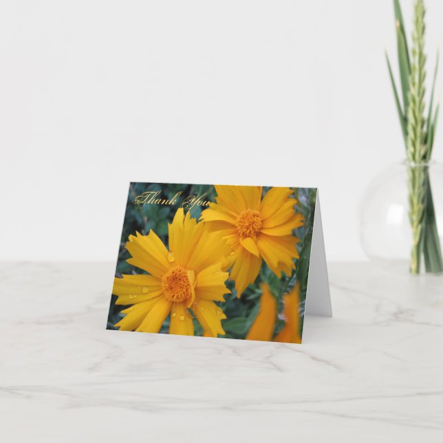 Cartões de agradecimentos do 1:17 de James (Frente)