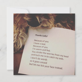 Cartões de agradecimentos do Cão