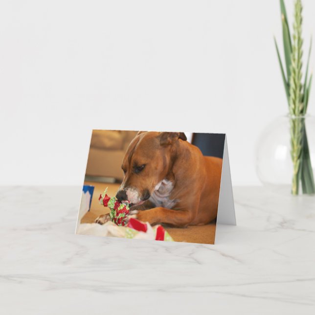 Cartões de agradecimentos do cão (Frente)