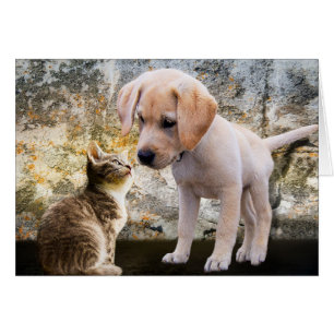 Cartões de agradecimentos do filhote de cachorro 
