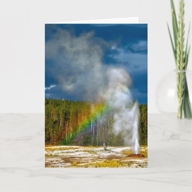 Cartões de agradecimentos do Parque Yellowstone do (Frente)