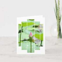 Cartões de agradecimentos dobrado