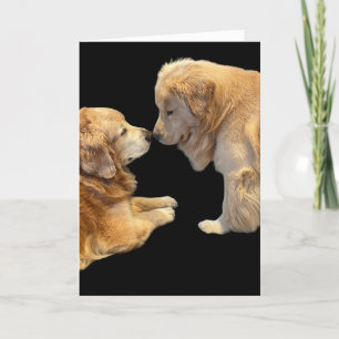 Cartões de agradecimentos dobrado