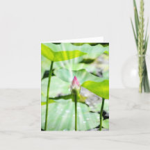 Cartões de agradecimentos dobrado