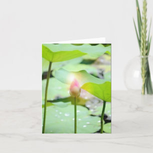 Cartões de agradecimentos dobrado