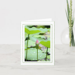 Cartões de agradecimentos dobrado