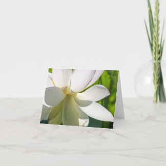 Cartões de agradecimentos Dobrado da Flor de Lotus