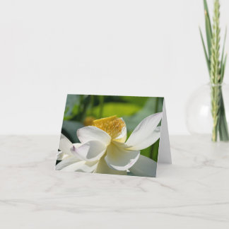 Cartões de agradecimentos Dobrado do Lotus Branco