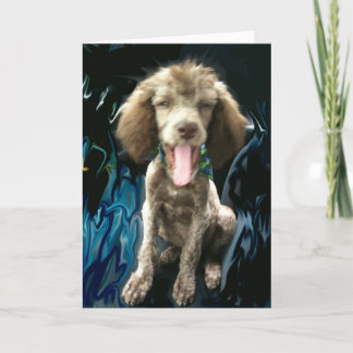 CARTÕES DE AGRADECIMENTOS, ENGRAÇADOS