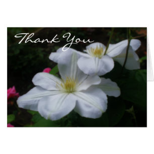 Cartões de agradecimentos Floral Clematis Clemati