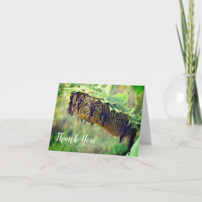 Cartões de agradecimentos Floral de Girassol desbo (Frente)