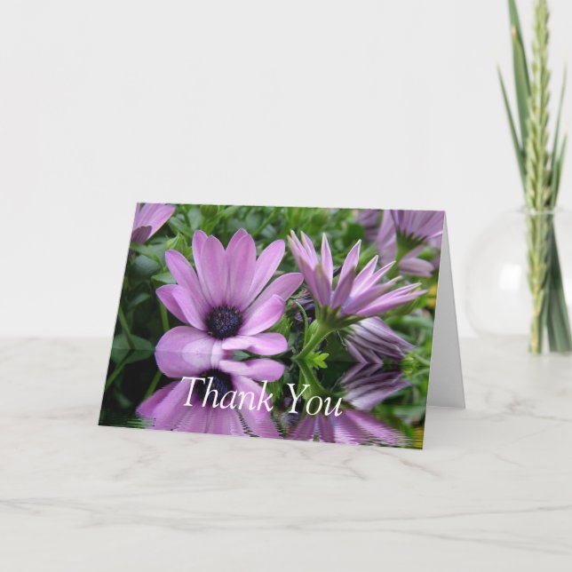 cartões de agradecimentos, flores de margarida púr (Frente)
