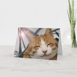 Cartões de agradecimentos - gato feliz