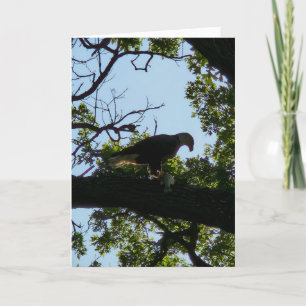 cartões de agradecimentos "Grace Before Meals"