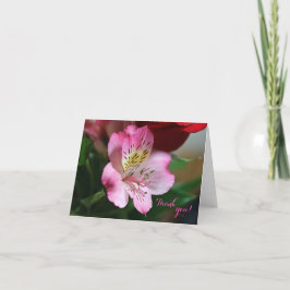 Cartões de agradecimentos Hermoso