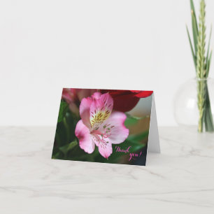 Cartões de agradecimentos Hermoso