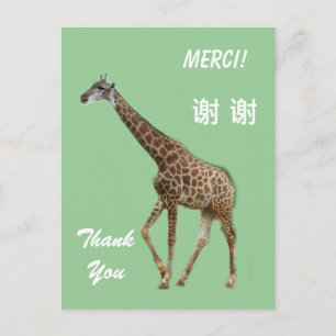 Cartões de agradecimentos Inglês/Francês/Chinês