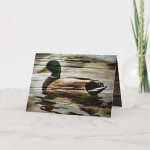 Cartões de agradecimentos Mallard Duck