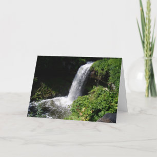 cartões de agradecimentos "Minnehaha Cai 1"