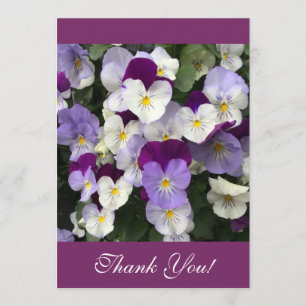 Cartões de agradecimentos - pansies