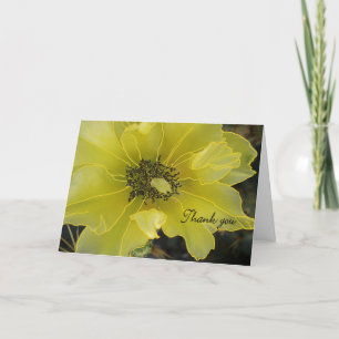 Cartões de agradecimentos para Ajuda com Movimenta