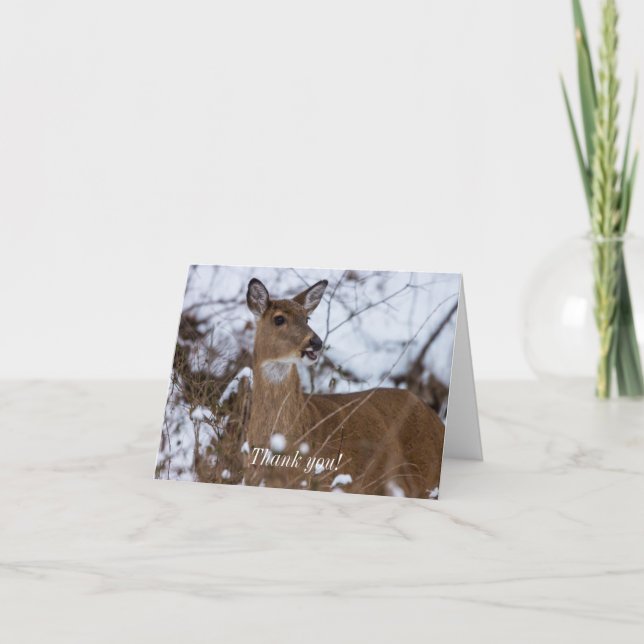 Cartões de agradecimentos para mastigar (Frente)