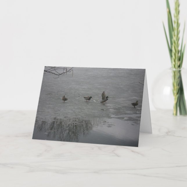 cartões de agradecimentos "Patos no Gelo" (Frente)