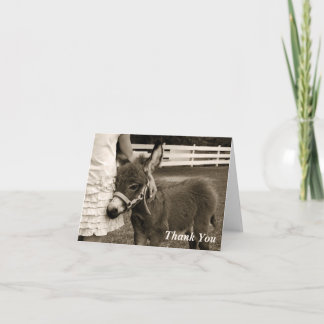 Cartões de agradecimentos pequenos do Burro