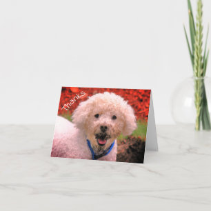 Cartões de agradecimentos Personalizável de Poodle
