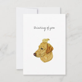 Cartões de agradecimentos plano