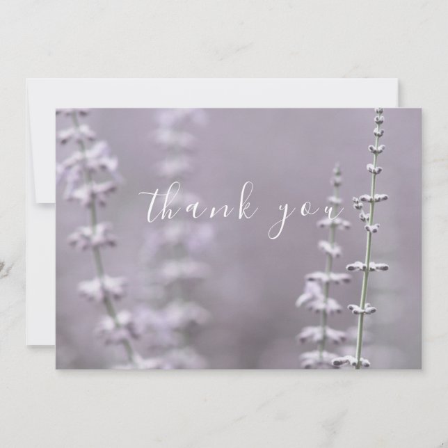 Cartões de agradecimentos plano bonito da ventoinh (Frente)