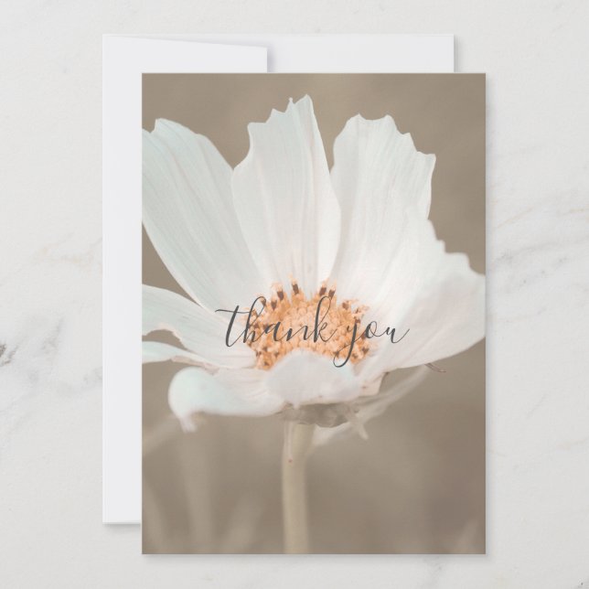 Cartões de agradecimentos plano da Flor Branca bon (Frente)