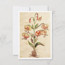 cartões de agradecimentos plano de 3,5" x 5"