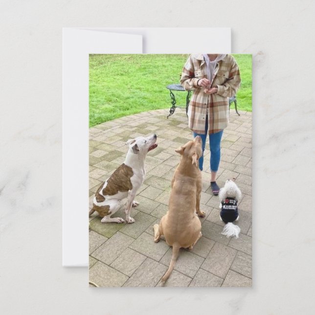 cartões de agradecimentos plano de 3,5" x 5" (Frente)