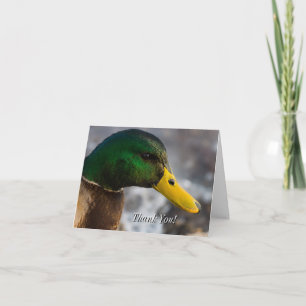 Cartões de agradecimentos Retrato Male Mallard