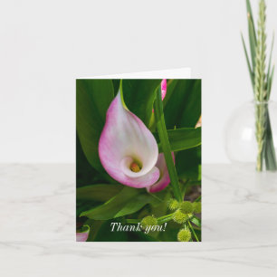 Cartões de agradecimentos - Roll Calla