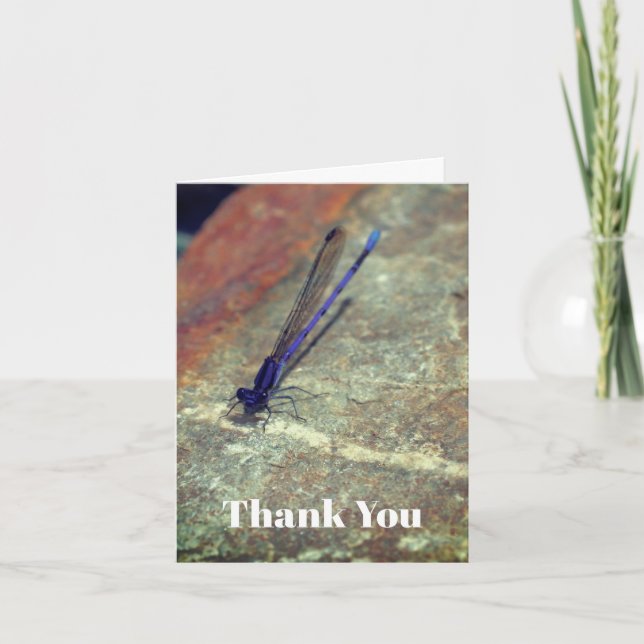 Cartões de agradecimentos Roxo (Frente)