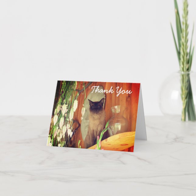 Cartões de agradecimentos Sentado de Gato Siamês (Frente)