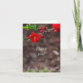 Cartões de agradecimentos superior