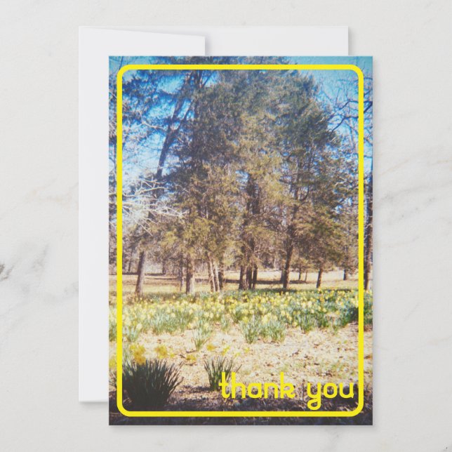 Cartões de agradecimentos Vintage Daffodil (Frente)