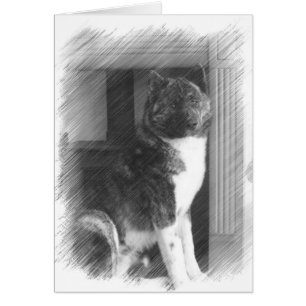 Cartões de Akita