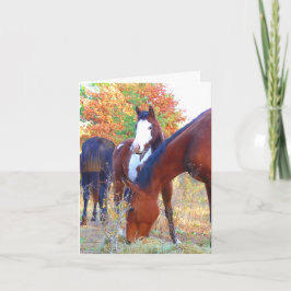Cartões de Aniversário Belos Cavalos