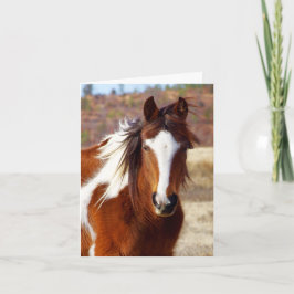 Cartões de Aniversário Belos Cavalos de Pintura