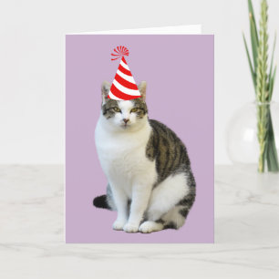 CARTÕES DE ANIVERSÁRIO DE FOTOS DE GATO
