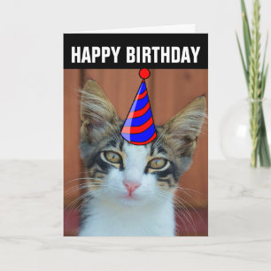 CARTÕES DE ANIVERSÁRIO DE GATO FOFO