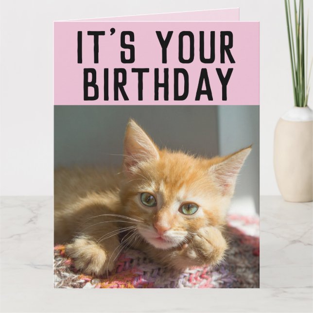 CARTÕES DE ANIVERSÁRIO DE GATO GINGER (Frente)