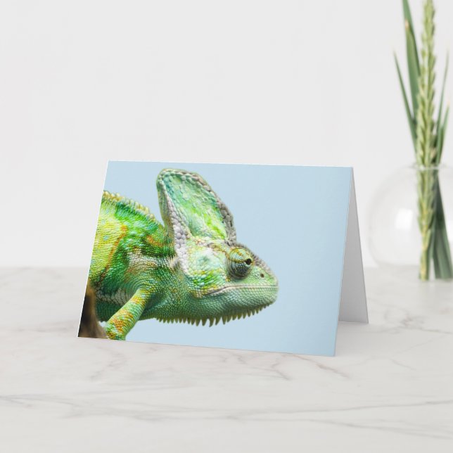 CARTÕES DE ANIVERSÁRIO DE IGUANA (Frente)
